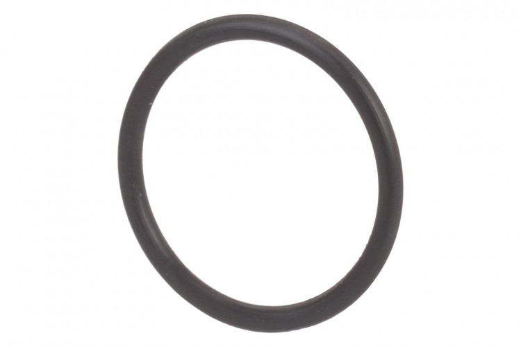O-Ring (256633A1) Case