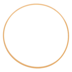 Dichtung (87433970)  Case