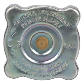 Kühlerverschlussdeck (47762055) Case