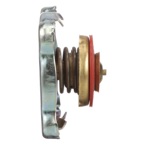 Kühlerverschlussdeck (47762055) Case