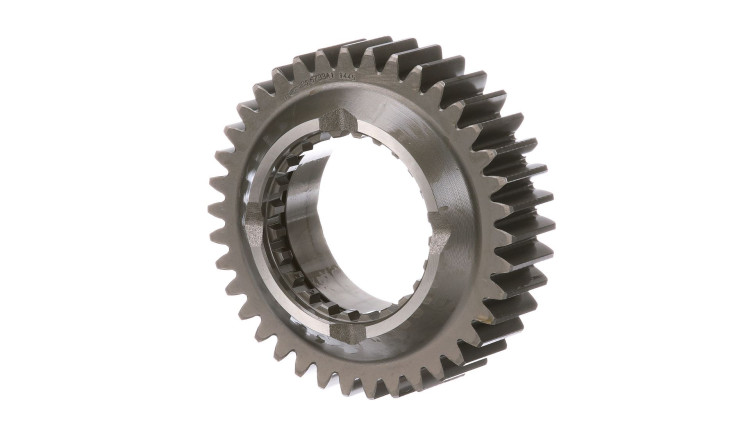 Ritzel (326733A1) Case