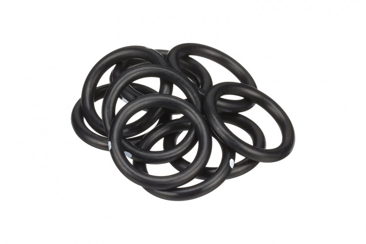 O-Ring (86528546) Case