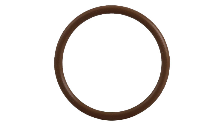 O-Ring (87014033) Case