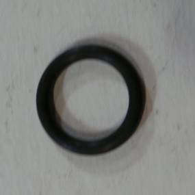 O-Ring (354047R1) Case