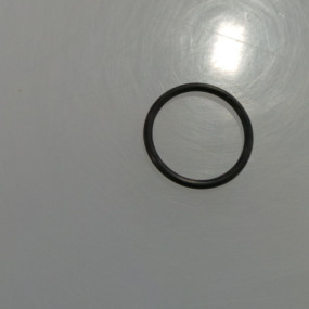 O-Ring (Bn311306) Case