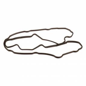 Dichtung, Flach (504070040) Case