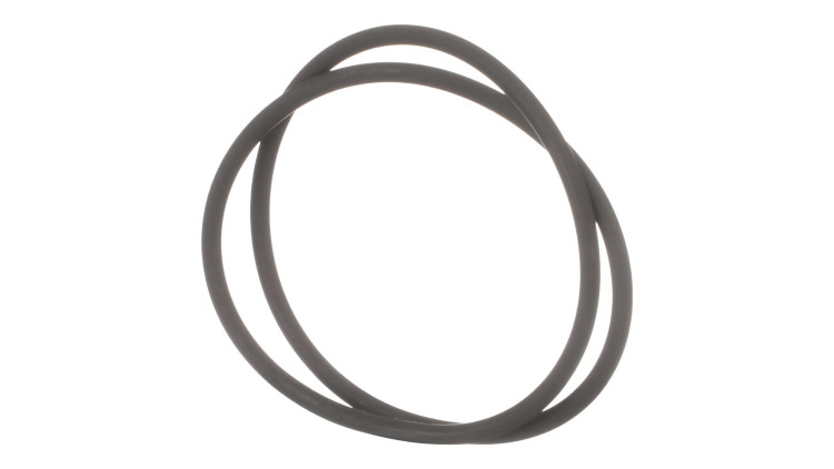 O-Ring (87603554) Case