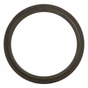 Ansatz (47126729) Case