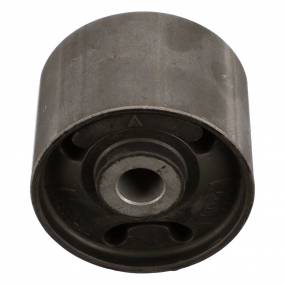 Isolator (87396965) Case