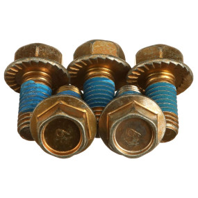 Schraube mit Flansch (1302143C1) Case