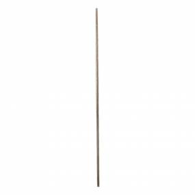 Kupplungstreibscheib (5163844) Case