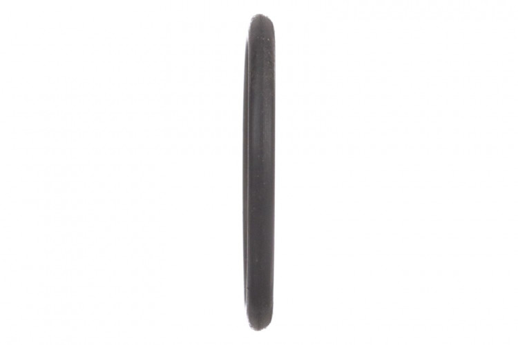 O-Ring (256633A1) Case