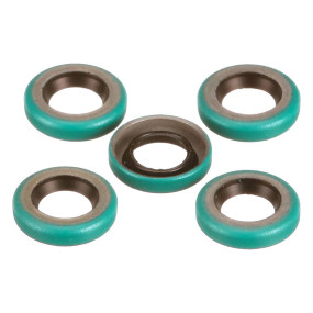 Öldichtung (529883R91) Case