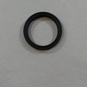 Ring (400744R1) Case