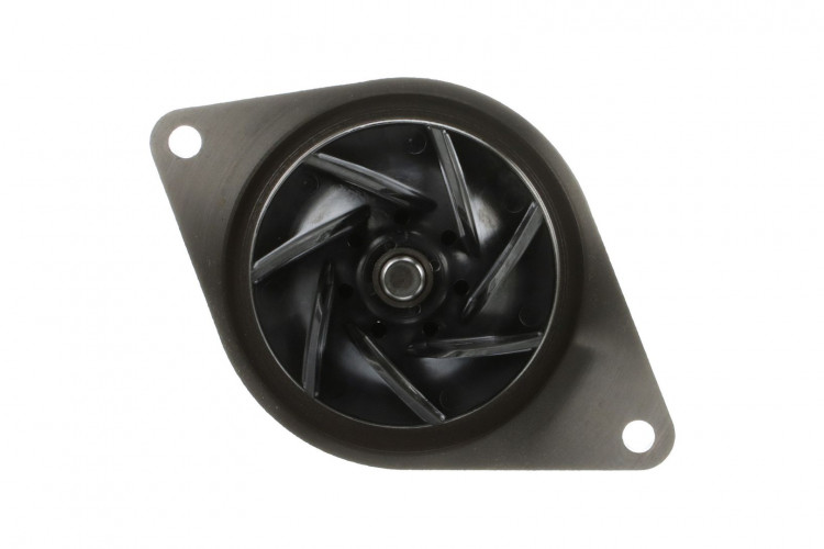 Wasserpumpe (504062854) Case