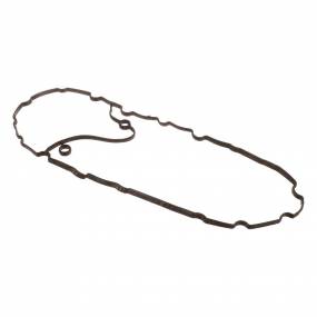 Dichtung, Flach (500382999) Case