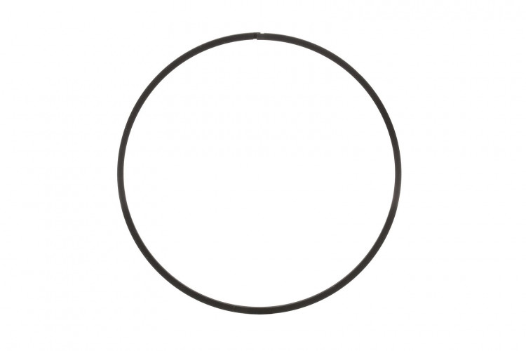 Ring (S2620S00F) Case