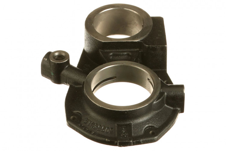 St_Tze (5187970) Case