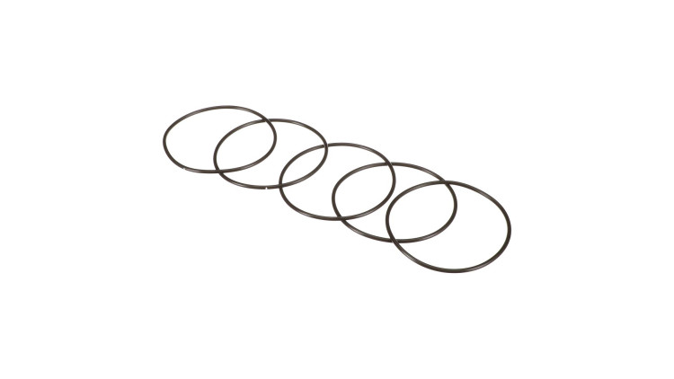 O-Ring (87016953) Case