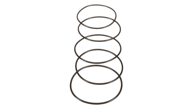 O-Ring (87016953) Case