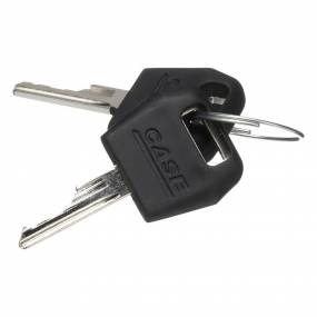 Zündschlüssel (1964831C2) Case