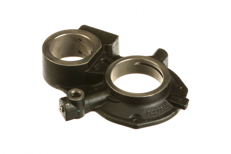 St_Tze (5187970) Case