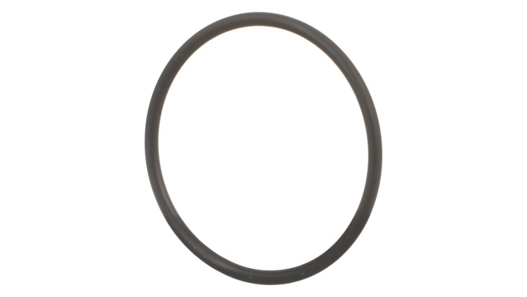 O-Ring (87016962) Case