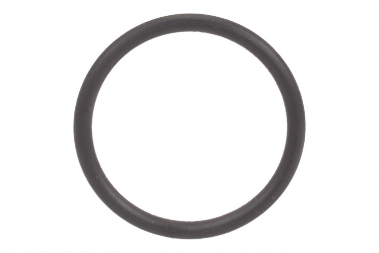 O-Ring (256633A1) Case