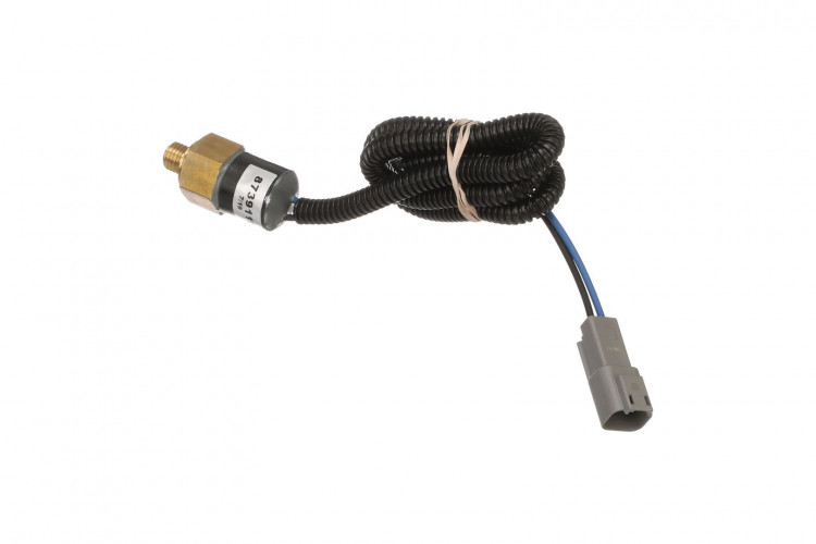 Schalter (87391194) Case