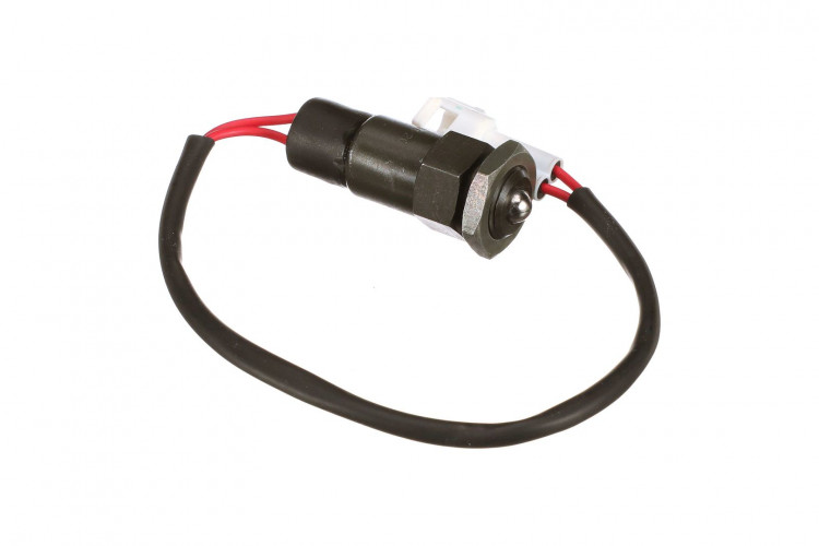 Schalterbaugruppe (82824863) Case