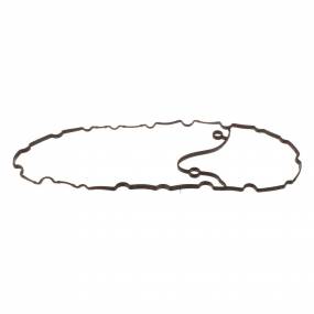 Dichtung, Flach (500382999) Case