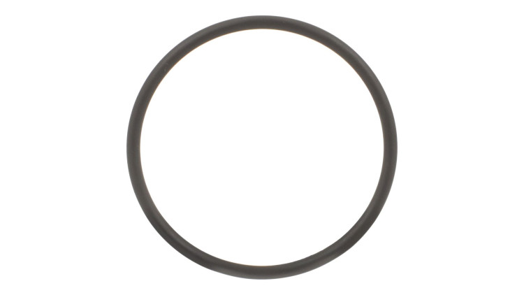 O-Ring (87016962) Case