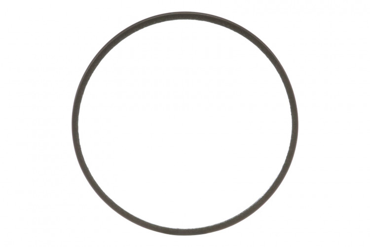 Dichtung (407387A1) Case