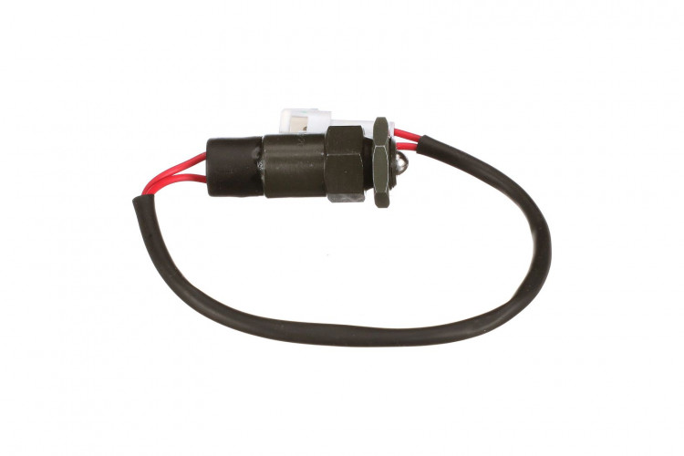 Schalterbaugruppe (82824863) Case