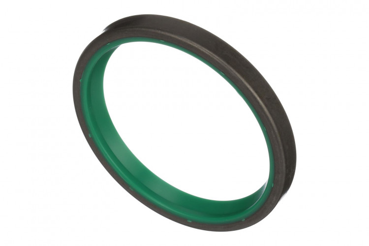 Abstreifdichtung (D95146) Case