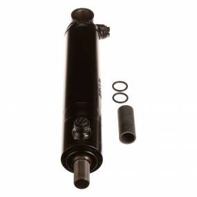 Zylinder (Kplt.) (87455639) Case