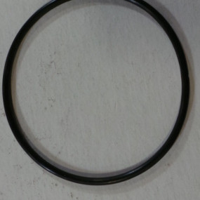 O-Ring (530789R1) Case