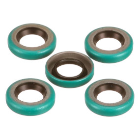 Öldichtung (529883R91) Case