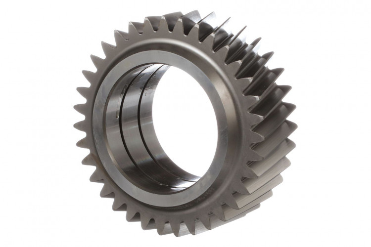 Zwischenrad (302554A1) Case