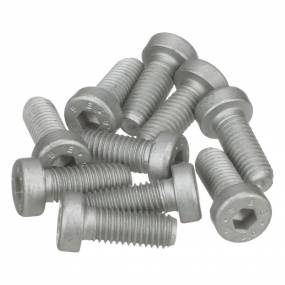 Innensechskantschrau (13028524) Case