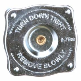 Kühlerverschlussdeck (4999682) Case