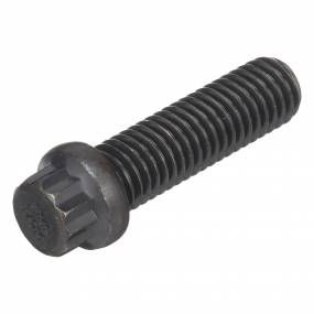 12-Punkt-Schraube (166-88) Case