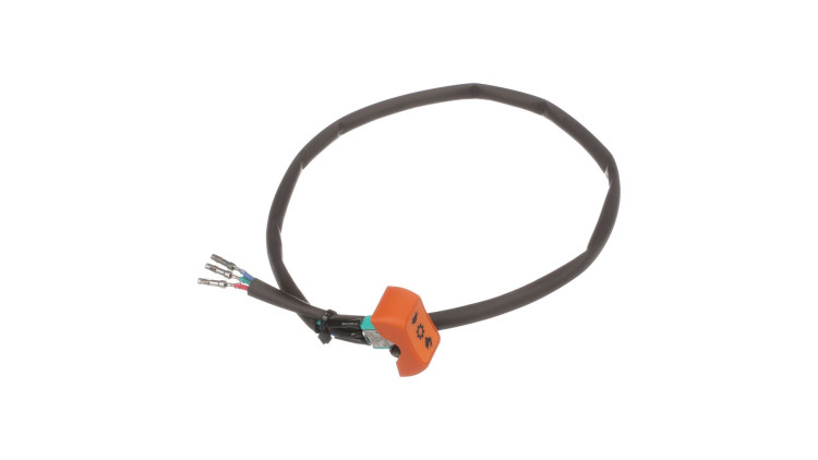 Schalterbaugruppe (82030904) Case