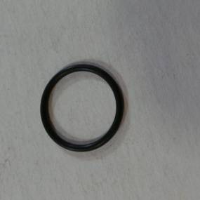 O-Ring (403618R1) Case