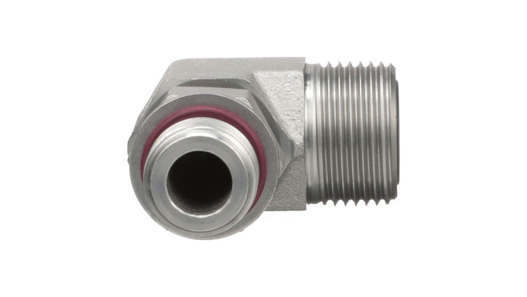 Kniest_Ck (Bn53590) Case