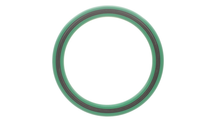 Dichtung (221614A2) Case