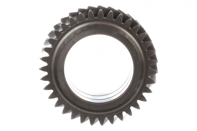 Zwischenrad (302554A1) Case