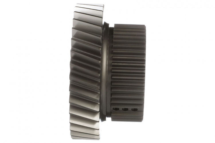 Angetriebenes Rad (87425380) Case