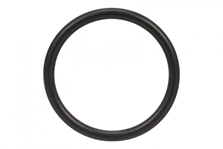 Dichtung, Flach (S8950S00F) Case