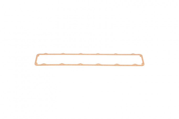 Dichtung (369982R1) Case